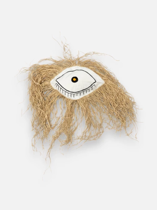 Coussin Eye