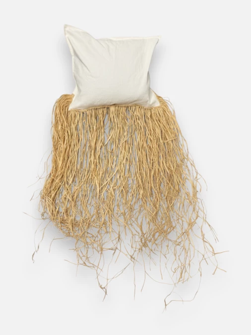 Coussin Stray