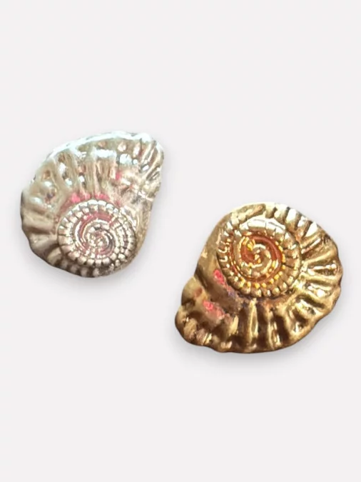 Bague Coquillage