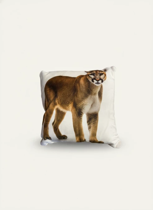 Mini Coussin Puma