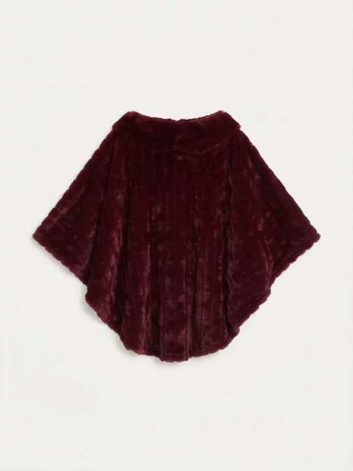 Cape Holla